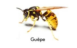 Réalisation Compiègne