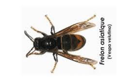 Réalisation Compiègne