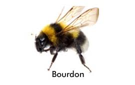 Réalisation Compiègne