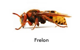 Réalisation Compiègne